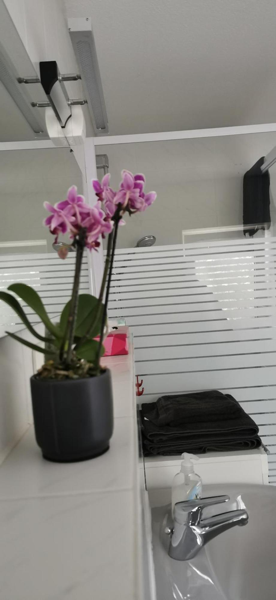 Ferienwohnung Ruhige Sout. Whg. Feldrandnaehe Seligenstadt Exterior foto